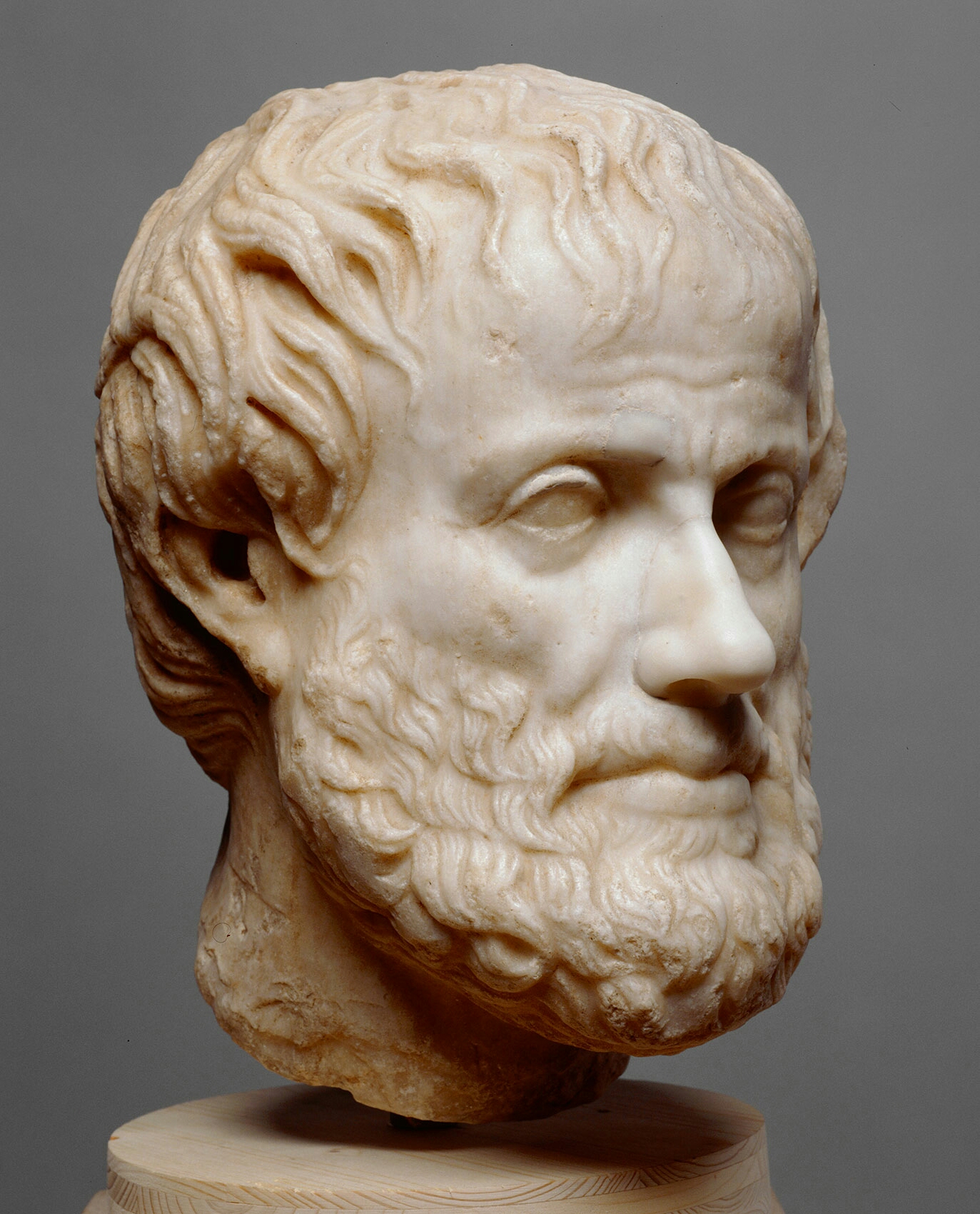 Aristotle Image